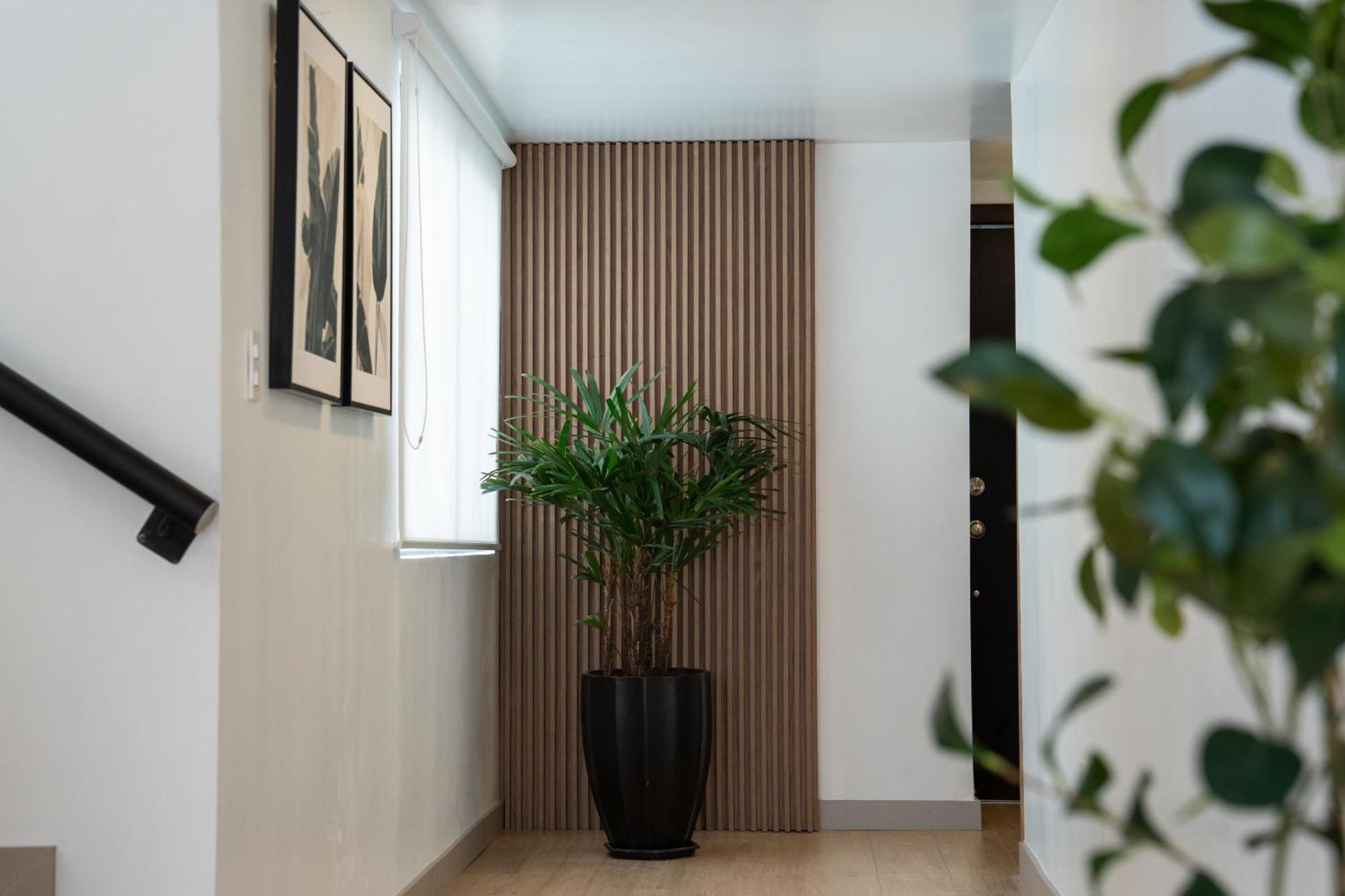 Spectacular Flat,3 Bedrooms, Central, Terrace, Free Parking Cuenca Exterior foto